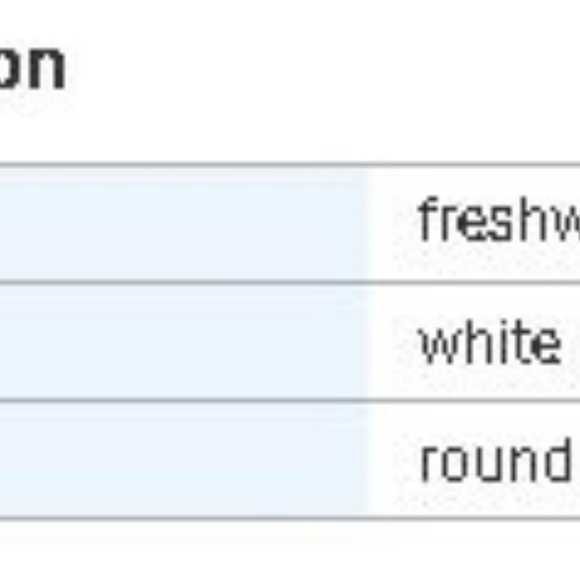 Pearls by the Yard Necklace - Picture 6 of 7